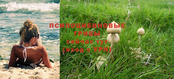 не бодяженный Приозерск