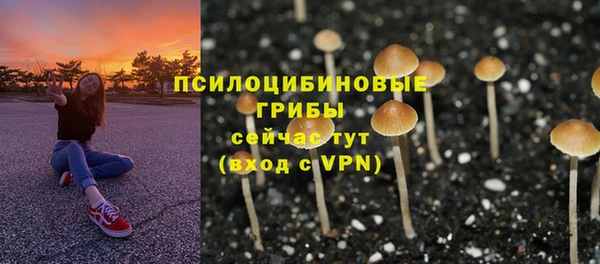 ешки Протвино