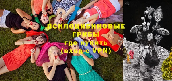 ешки Протвино