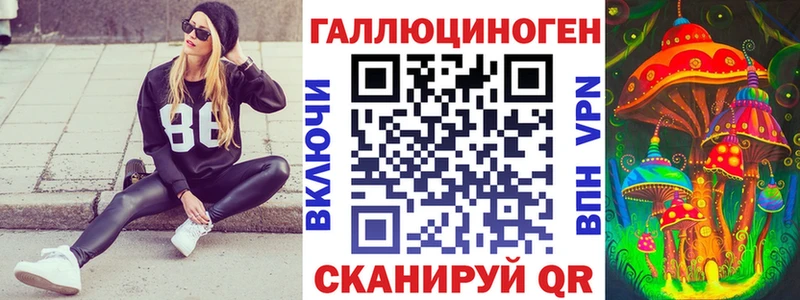 Купить где  Александровское  Псилоцибиновые грибы Cubensis 